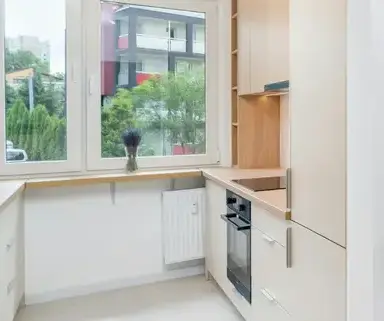 démoussage toitures Rennes-5