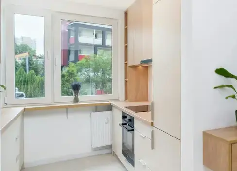 démoussage toitures à Vitré - image 3